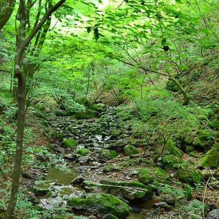 Toyoko Inn Tokyo Fussa Ekimae Higashi Guchi Hamura Luaran gambar